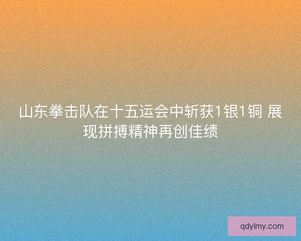 山东拳击队在十五运会中斩获1银1铜 展现拼搏精神再创佳绩