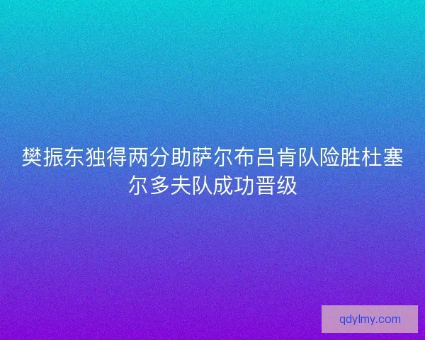 樊振东独得两分助萨尔布吕肯队险胜杜塞尔多夫队成功晋级