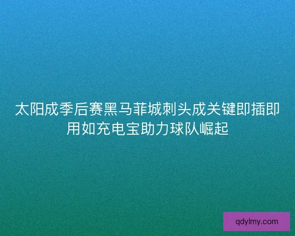 太阳成季后赛黑马菲城刺头成关键即插即用如充电宝助力球队崛起